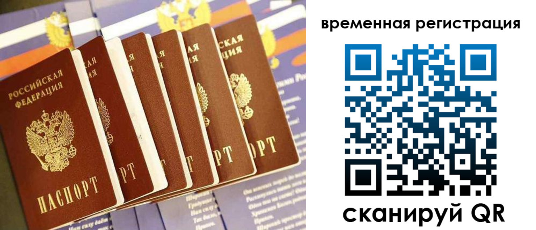 временная регистрация поиск в Клинцах